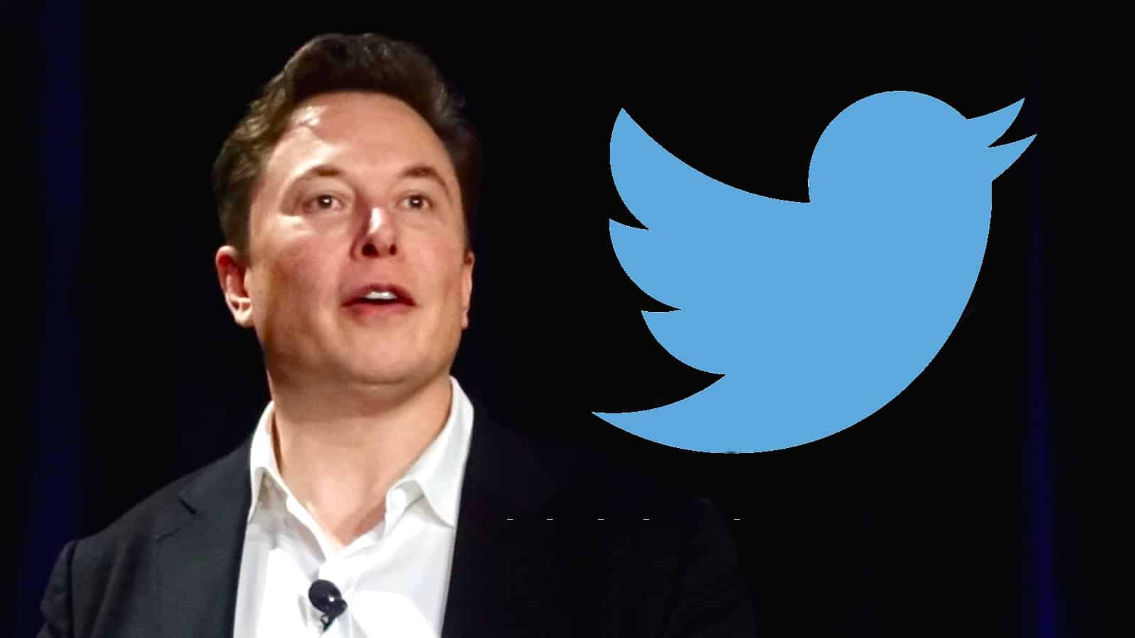 Twitter Elon Musk